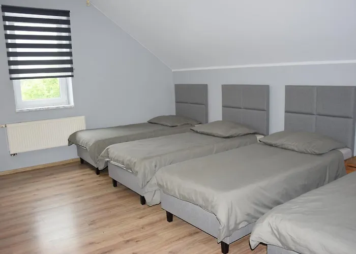 Basia בית אירוח ריבניק